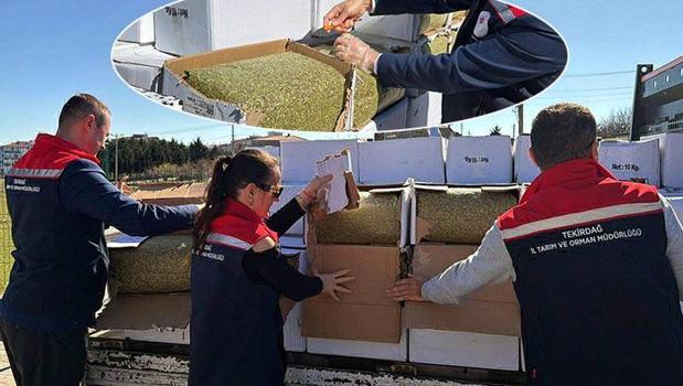 Baklavada kullanacaklardı! Sahtekarlar böyle yakalandı)