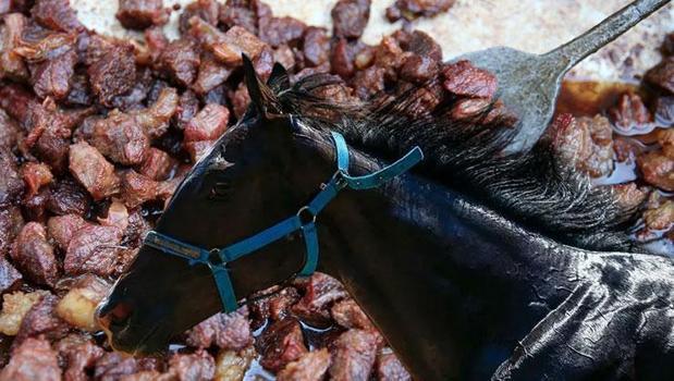 Hipodromdan aşevine! Yarış atını kesip kavurma yaptılar: Böyle ortaya çıktı)