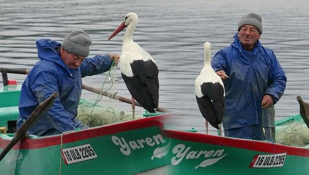 Adem amca, 15 yıllık dostu Yaren leylekle özlem gideriyor: 'Evladım gibi seviyorum')