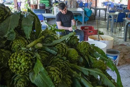 Pazarda yeni dönem: Tanesi 30 lira! Talep patlaması yaşandı: Tezgaha düştüğü an bitmesinin nedeni ortaya çıktı)