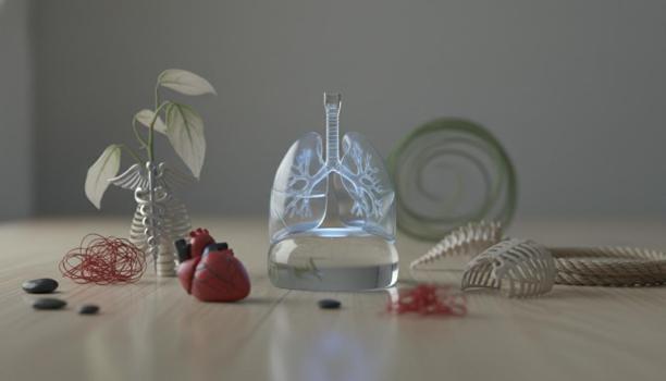 Sadece akciğerden kaynaklanmıyor: Nefes darlığının arkasındaki gizli tehlikelere dikkat)