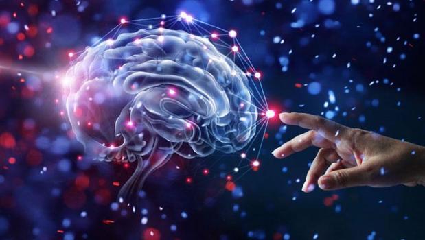 Zeki insanların ortak özelliği buymuş! Başarı merdivenlerini adım adım çıkartan davranış)