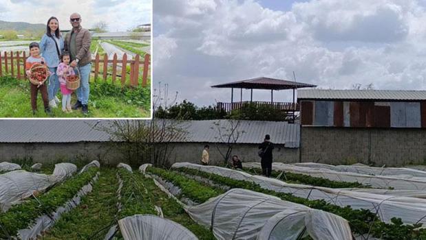 Adana'da ezber bozan uygulama! Parasını veriyorlar, işçiliği kendileri yapıyorlar: Böyle hasat görülmedi)