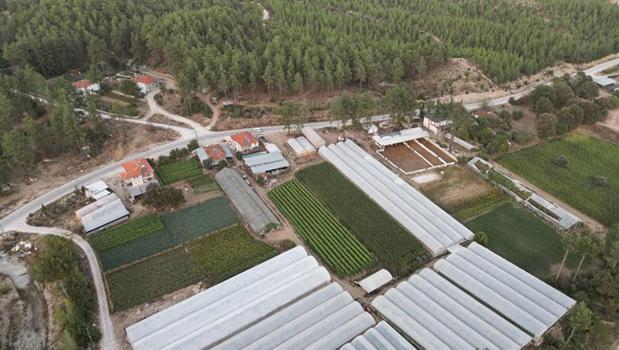 'Tarla kondu'lar için 1 ay süre verildi! Arsa ve arazisi olanları ilgilendiriyor: Hangi yapıları kapsıyor?)