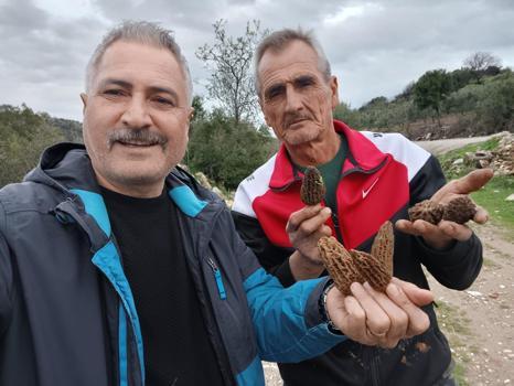 Gören seviniyor, bulan bırakmıyor! Salihli’de doğada kendiliğinden yetişiyor)