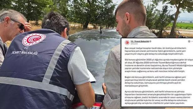 'Biberler hayvanlara yem olarak verildi' iddialarına Bakanlık'tan yanıt)