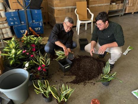 Saksı bitkileri elektrik üretiyor! Yerli biyopil devrimi)