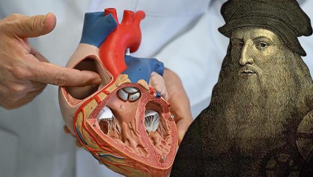 İnsanlığı kurtaracak sır ortaya çıktı! Gizemli ağlar şeklinde ilerliyor, Leonardo Da Vinci tam 500 yıl önce çizmiş!)