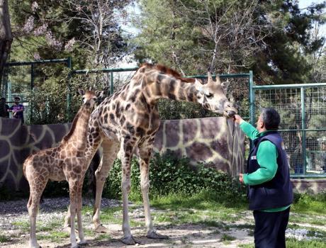Babası göremedi ama o artık Türkiye'nin gözbebeği! 50 bin kişi tek isimde birleşti)