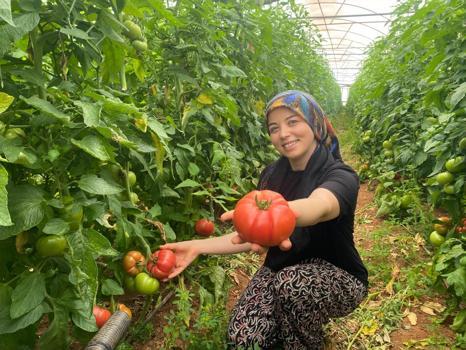 Üretime kadın eli değdi bereket arttı! O ilçede yıllık 550 bin ton hasat ediliyor)