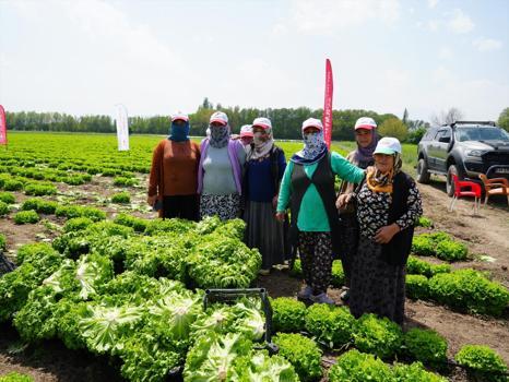 Iğdır'da sezonun ilk hasadı yapıldı! Dünyanın en sağlıklı yeşilliği)