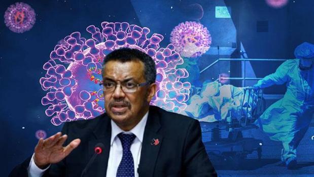 Hantavirüs alarmı! DSÖ: 'Daha fazla vaka görülmesi mümkün')