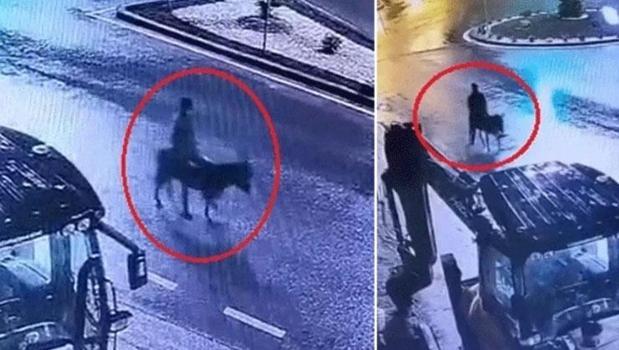 Kuyumcudan altınları çalıp eşekle kaçmıştı! Cezası belli oldu)