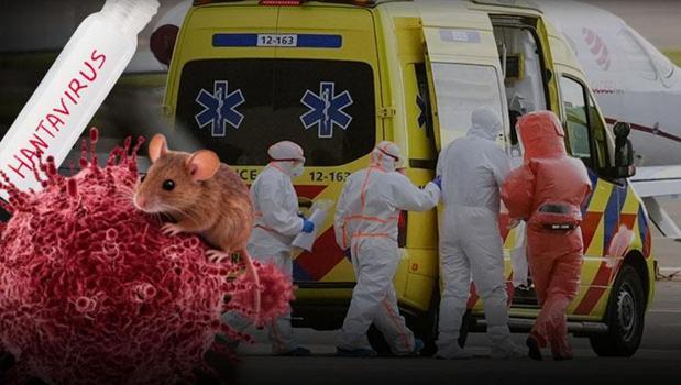 Gemiye binmedi ama virüs kaptı! Hantavirüste korkutan gelişme: Belirtileri 2 ay sonra bile çıkabiliyor!)