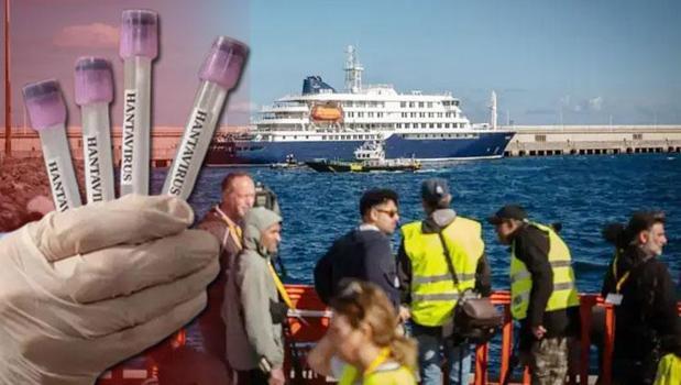 Hantavirüs 'sır' değil! 6 iddia yanıtlandı! D vitamini gerçeği)