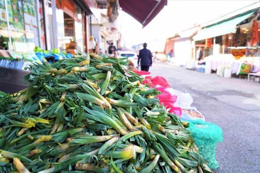 Kilosu 100 liradan tezgaha indi, gören çuvallarla alıyor! Dağ tepelerinden gelen "doğal antibiyotik" satışta)