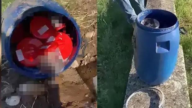Şanlıurfa'da tüyler ürperten görüntü! Varilin içinden 21 insan cenini çıktı)