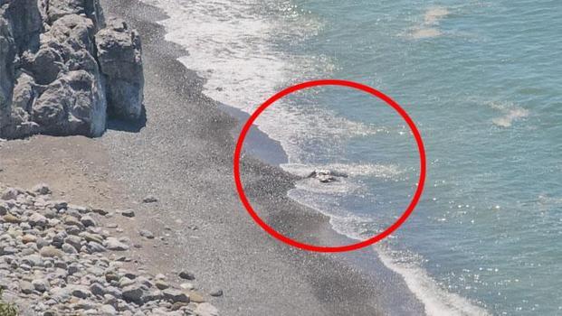 Deniz kıyısına bakanlar ceset var sandı! Polisler gelip gerçeği ortaya çıkardı)