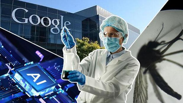 Google'ın 32 milyonluk sivrisinek operasyonu! Herkes korkmuştu, gerçek çok başka çıktı)