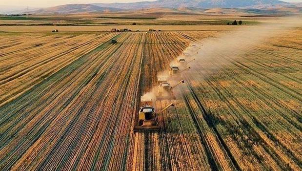 Bakan Yumaklı duyurdu! 165 milyon 522 bin lira tarımsal destek ödemesi bugün yapılıyor)
