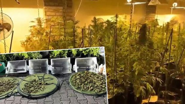 Binayı saran yoğun koku ele verdi! Dış dünyadan izole edilmiş: Yaklaşık 30 milyon değerinde)