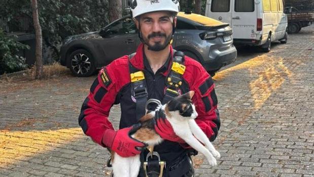 Üç gündür ağaçta mahsur kalan kedi kurtarıldı)