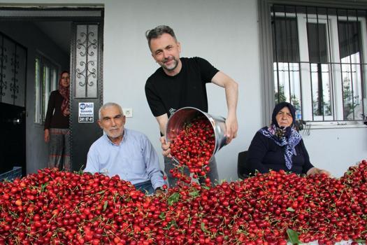 İzmir ve Manisa'da hasadı başladı! Kilosu 40 TL: Tek tek elle toplanıyor, 70 derdin devası)