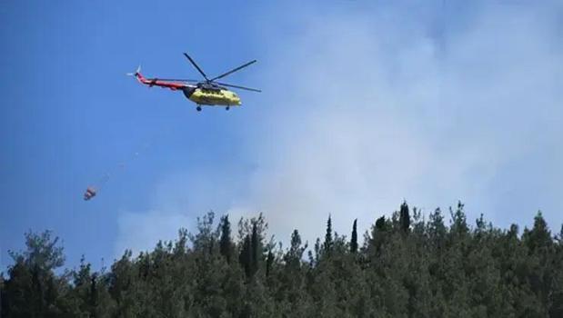 Manisa'nın Turgutlu ilçesinde orman yangını)