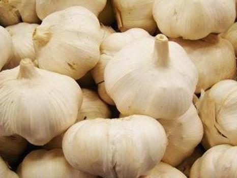 Dünya devlerini geride bıraktık! Dünyanın en iyi 17 sarımsağı seçildi: Türkiye’den listeye giren 2 çeşidimiz göğsümüzü kabarttı)