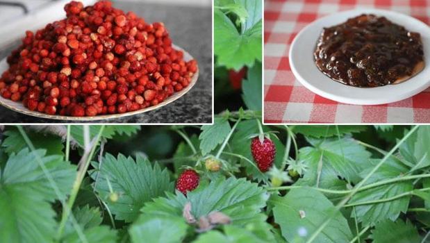 Kadınların zorlu emeği meyvesini verdi! Karadeniz'in o meşhur lezzeti artık tescillendi)