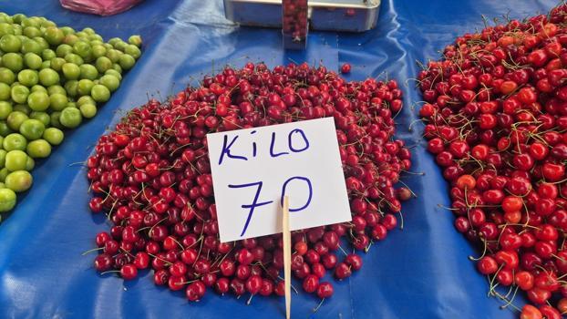 Festival fiyatı 300 TL olarak belirlenmişti, kilosu 70 TL'ye kadar düştü! 'Bu sene bolluk var, herkes yesin')