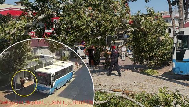 Osmaniye'de korkunç görüntü! Çınar ağacı halk otobüsünün üstüne düştü)