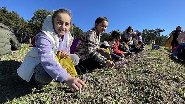 Gramı tam 12 dolar, piyasada altınla yarışıyor! Yılda sadece 3 hafta süresi var: Neden bu kadar pahalı olduğunu kimse bilmiyor)