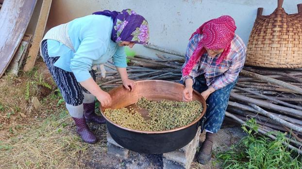 Karadeniz kadınları kazanları fokur fokur kaynatmaya başladı! Kış için kilolarca doğal şifa hazırlanıyor)
