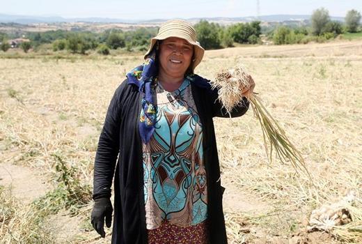 AB tescilli servet topraktan çıktı! Fiyatı görünce çiftçi tarlada yatıp kalkmaya başladı!)