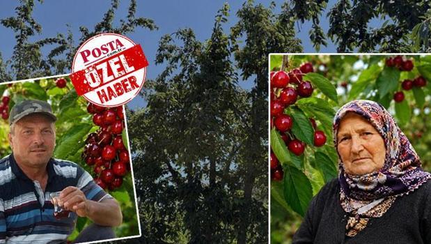 Karı-kocanın ölümünde suçlu kiraz mı? Gözden kaçırılan çok önemli detay: 'Bu rapor gösterecek')