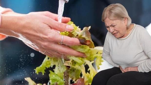 ABD’yi ayağa kaldıran 'görünmez tehlike' yayılıyor! Salata severleri vuran o salgın rekor kırdı! Marulu sakın böyle yıkamayın...)