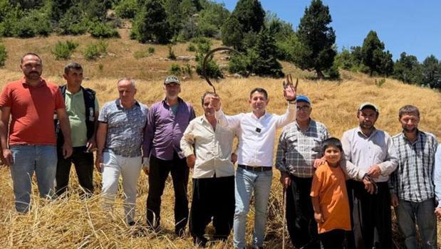 1200 rakımlı dağ köylerinde asırlık gelenek yaşatılıyor! Tarlalarda oraklarla hasat yapılıyor)