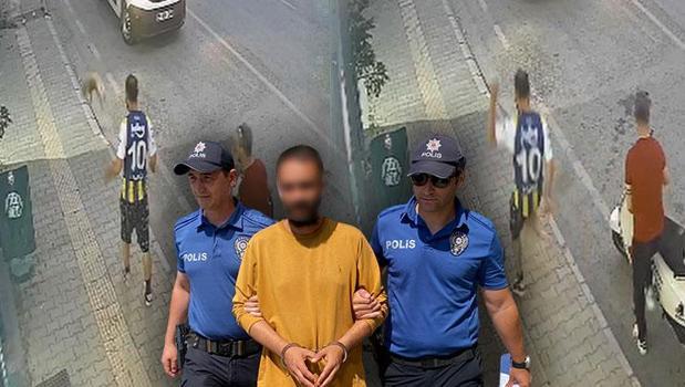 Samsun'da kediye tekme atan şüpheli tutuklandı! 'Sinirliydim, pişmanım')