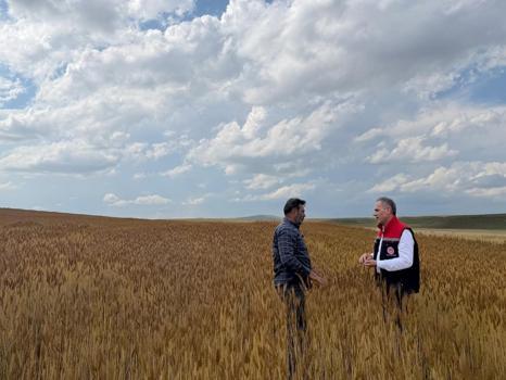 Çiftçinin alın terini tam 3 katı yüksek kazanca dönüştürecek!Kars'ın o köyünde gizlice ekilmişti, rekor üretim geldi)