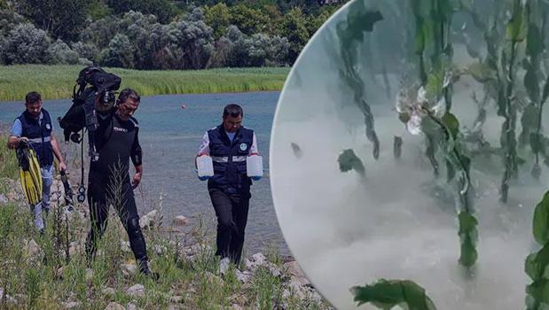 Sapanca Gölü'nün 2 metre derinliğinde keşfedildi! Yetkililerden açıklama geldi)