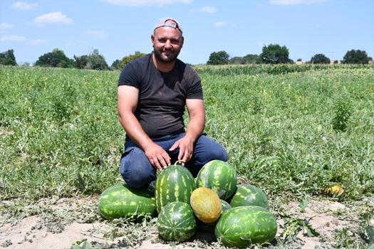 Babaeski'de hasadı başladı! İnce kabuğu, bol suyu ve yüksek şeker oranıyla damak çatlatıyor)