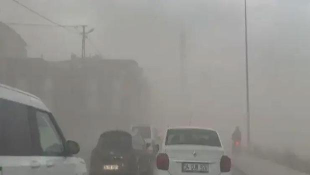 Meteoroloji uyarmıştı! İstanbul'da fırtına etkili oldu, ağaçlar devrildi)