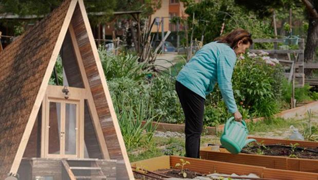 ​Arazi sınırı 20 dönüme düşürüldü! Hobi bahçeleri ve bungalovlar için yeni dönem)