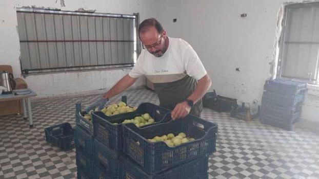 Sakın bu fiyata aldanıp şaşırmayın! %80'i tarlada döküldü, kilosu 200 TL'den pazara indi)