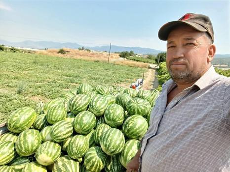 Manisa'da hasadı başladı! Tarladaki fiyatı beğenmedi, çözümü kendi buldu)