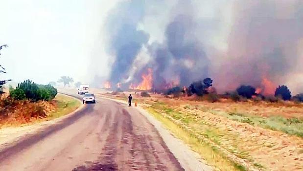 Edirne'de anız yangını ormana sıçradı! Havadan ve karadan müdahale sürüyor)
