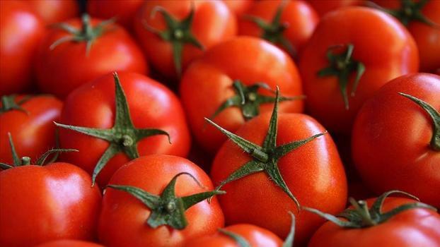 Domatesleri buzdolabına koyanlar dikkat! Lezzetinden geriye hiçbir şey kalmıyor)