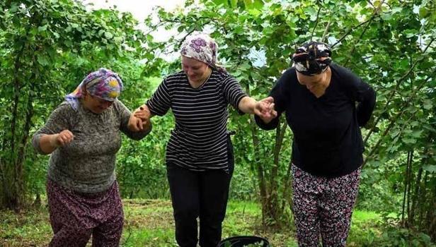 "Ölüler bile mezardan çıkar gelir" diyerek bahçeye indiler: Yevmiyesi 3 bin lira oldu!)