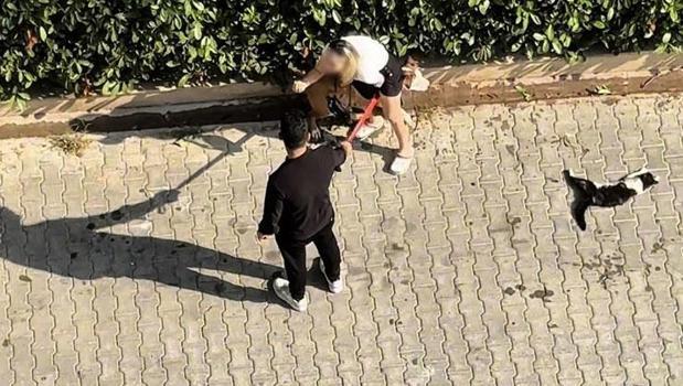 Kediyi parçalayan Pitbull'un sahibi böyle yalvardı: 'Polisi aramayın')